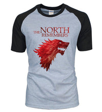 Load image into Gallery viewer, Game Of Thrones T-shirt