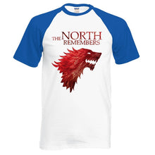 Load image into Gallery viewer, Game Of Thrones T-shirt